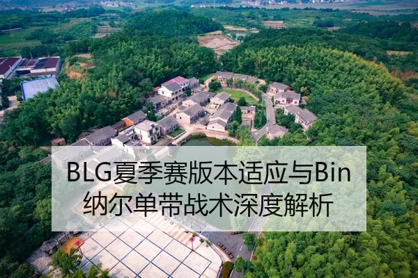 BLG夏季赛版本适应与Bin纳尔单带战术深度解析