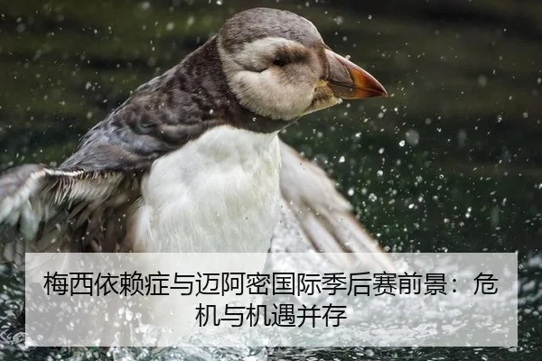 梅西依赖症与迈阿密国际季后赛前景：危机与机遇并存