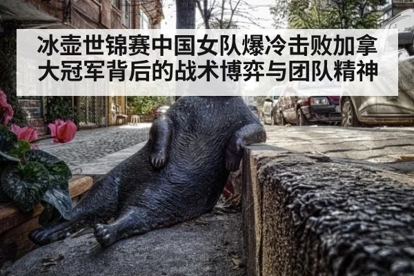 冰壶世锦赛中国女队爆冷击败加拿大冠军背后的战术博弈与团队精神