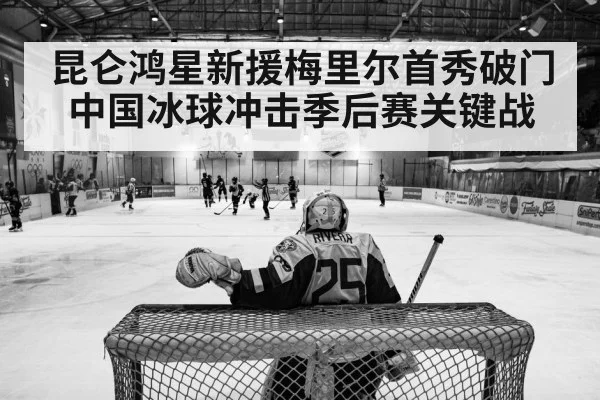 ice hockey arena playoff match
